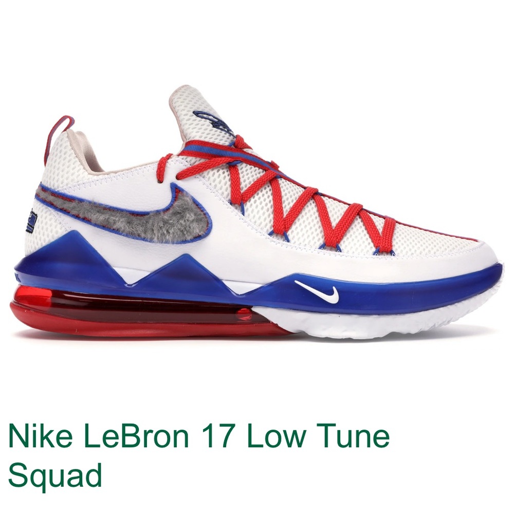 LeBron Nike Tune squad